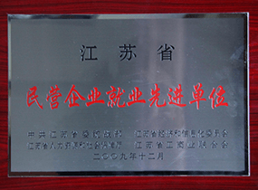江苏省民营企业就业先进单位